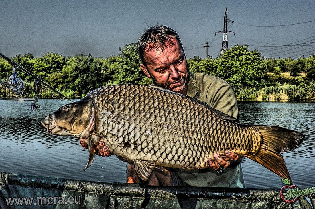 MeetCarp Romanian Awards 2013 (2) - 1017137hdrmode2-2.jpg